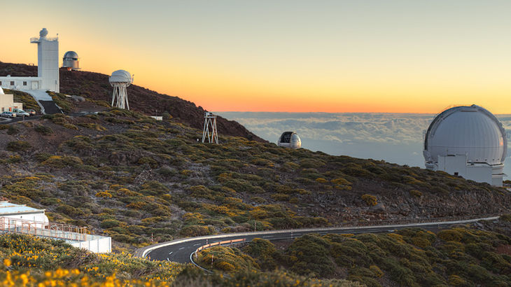 Incoming Services for groups in La Palma